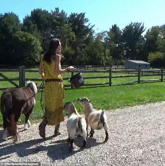 The Hadid family, especially Bella and sister Gigi, often use the farm as a getaway from the city