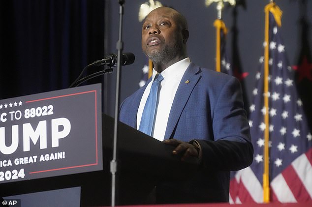 South Carolina Senator Tim Scott went after Democrats claiming they 'recklessly stoked fears' after the shooting in Butler, PA