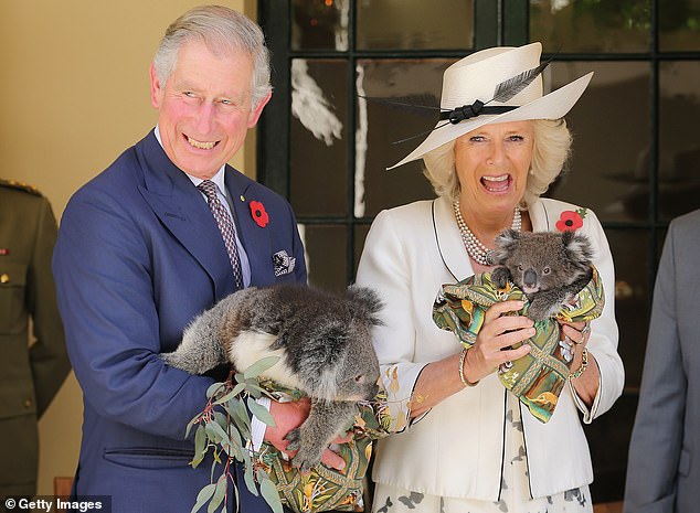 The King will travel to Australia and Samoa in the autumn accompanied by his wife, Queen Camilla. Pictured: The King and Queen hold koalas in Adelaide, Australia in November 2012