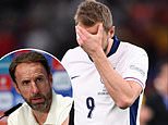 Gareth Southgate admits Harry Kane had a 'tough' Euro 2024... as the 'devastated' Three Lions boss insists his players 'have been incredible' after final defeat to Spain