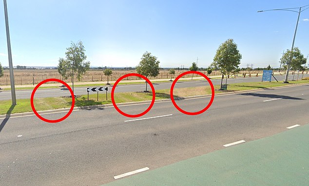 Tyre marks visible on the grass median strip show drivers used it as a shortcut before the 'no right turn' signs were installed