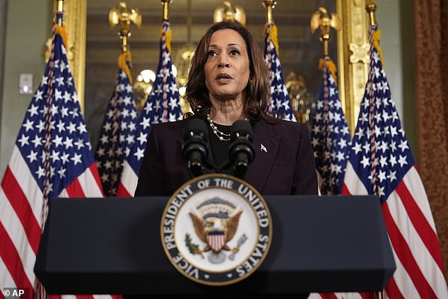 Harris made rare remarks after a meeting with a world leader, as she's stepped up her role in the White House and the campaign trail this week as the Democrats' likely presidential nominee