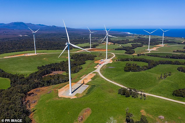 The 288 megawatt farm will join the state's electricity grid and it is estimated the energy harnessed could power around 144,000 homes (stock image)