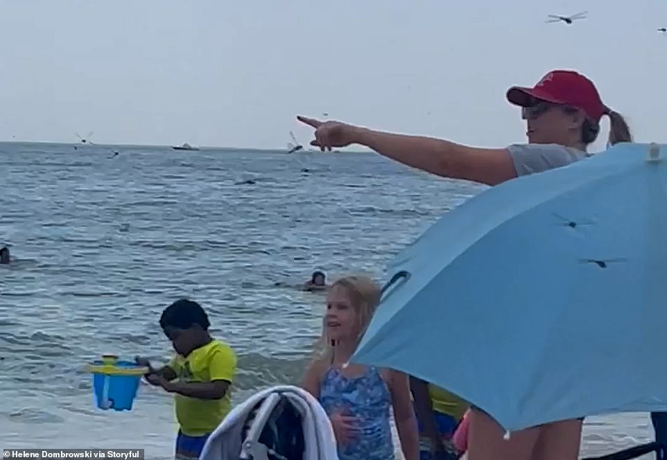 Although Dombrowski was somewhat wowed by the phenomenon, she recalled how other beachgoers seemed quite afraid. 'Some people were screaming while others were trying to catch them,' she told Storyful. Richard Sontag, who was among the thousands of beachgoers subjected to the swarm, branded the incident an 'invasion.'