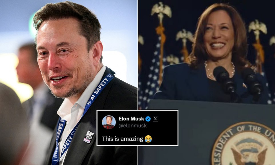 Controversial billionaire Elon Musk is being accused of breaking his platform's rule on deepfakes after he posted a doctored video mocking Vice President Kamala Harris with a manipulated voice. The clip has been viewed nearly 130 million times by X users. In the clip, the fake Harris' voice says: 'I was selected because I am the ultimate diversity hire.' It then adds that anyone who criticizes her is 'both sexist and racist.' The world's richest man captioned the video: 'This is amazing.' It was originally posted by the X account @MrReaganUSA, a designated parody account that posts pro-Donald Trump content.