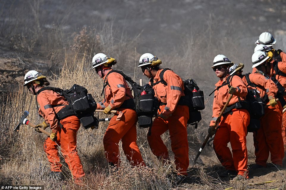 Nine-year-old Cortinez Logan also perished on a trail walk with his family at the South Mountain Park and Preserve near Phoenix as temperatures soared to 113F last month. 'Drink plenty of fluids, stay in an air-conditioned room, stay out of the sun, and check up on relatives and neighbors,' The NWS advised.