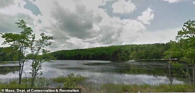 Those who risk swimming could end up with stomach and intestinal upset, diarrhea, and vomiting (Pictured: Rutland Beach)