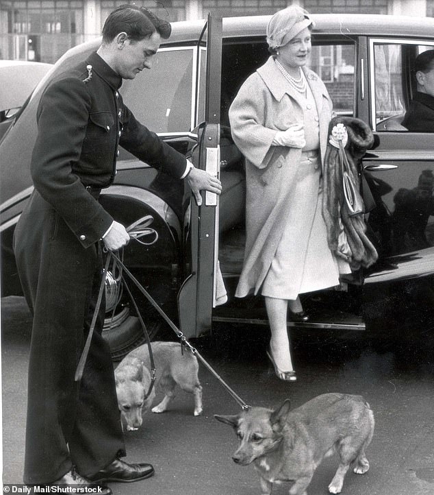 The Queen Mother travelling to the Castle of Mey Scotland with her pet corgis in 1959