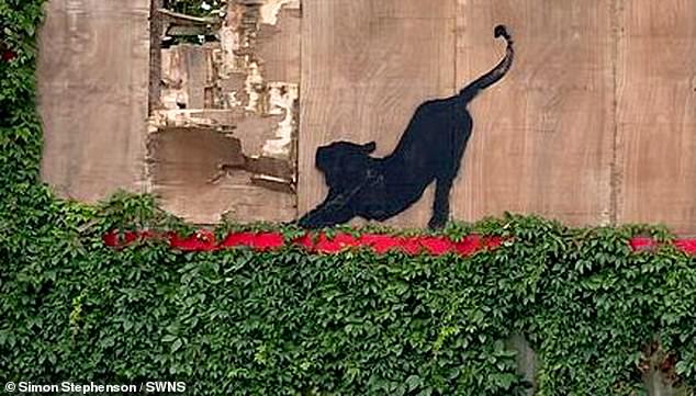 The artwork, which has been sprayed onto an abandoned billboard in Cricklewood, appears to show the animal stretching and scratching at a broken part of the wood