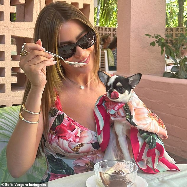 Sofia Vergara shocked her fans by treating her dog Amore to ice cream at the Beverly Hills Hotel, where it costs at east $1,300 a night to stay