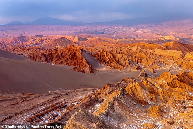 Moon Valley, seen here, 'provides the region¿s most picture-perfect desert snapshot'