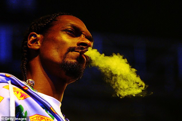 Snoop smokes while performing in Melbourne at the 2007 Good Vibrations Festival