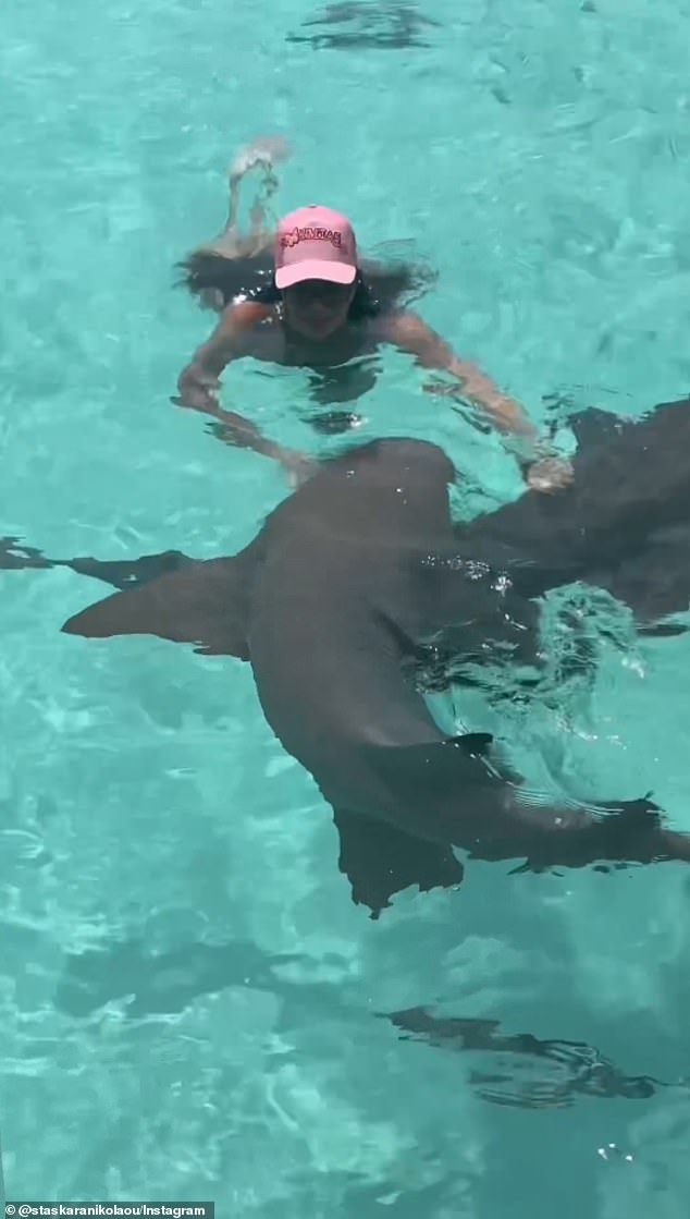 She also shared a clip on her Instagram Story of herself swimming alongside the sharks and petting them as they passed by her