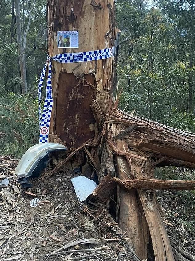 The remains were found 1km from where the wreckage of Mr Wilson's ute was found (pictured)