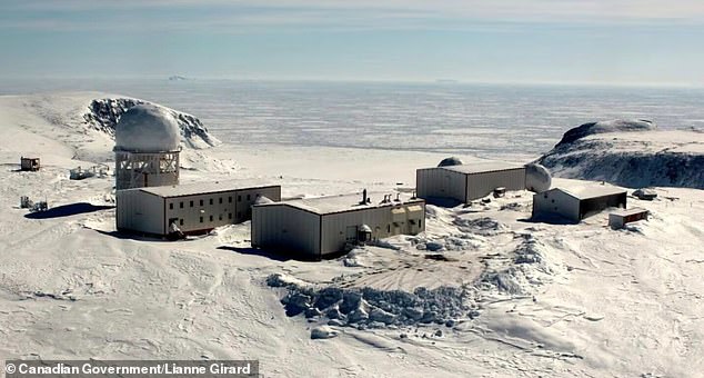 Two polar bears have attacked and killed a worker at a remote Canadian radar site operated by Nasittuq Corporation