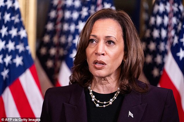 Vice President Kamala Harris' campaign is manipulating headlines and paying to place them prominently on Google search results – causing confusion among those who might not distinguish theses ads from real news articles