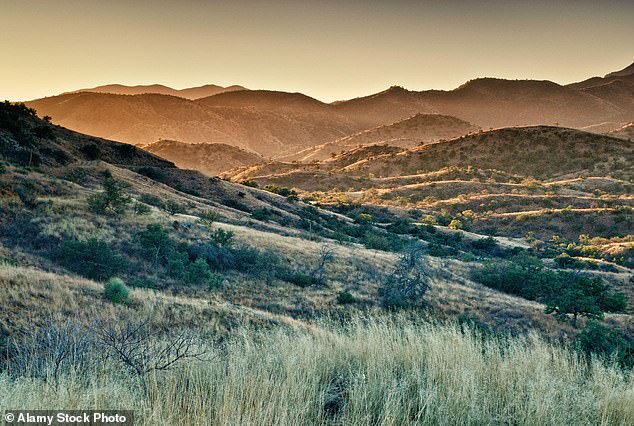 The cat was spotted in desert scrub, like the one pictured above, at a lower elevation than most historic records of the species in Arizona