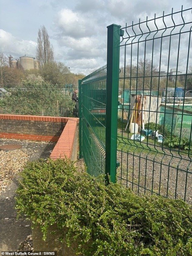 Homeowner Kathy Steward has said the fence has ruined the views from her window and made her feel like she is living in a jail