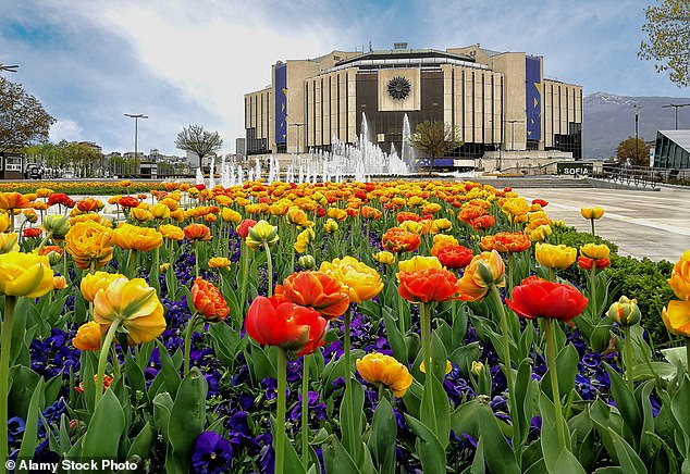 Tulips at the National Palace of Culture Park, which is a major venue for concerts in the city