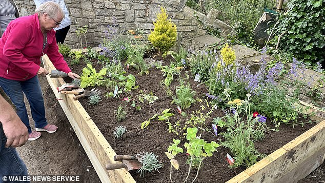 The bed was planted in preparation for Britain in Bloom and in association with the village Conservation Group and Community Council Biodiversity Project