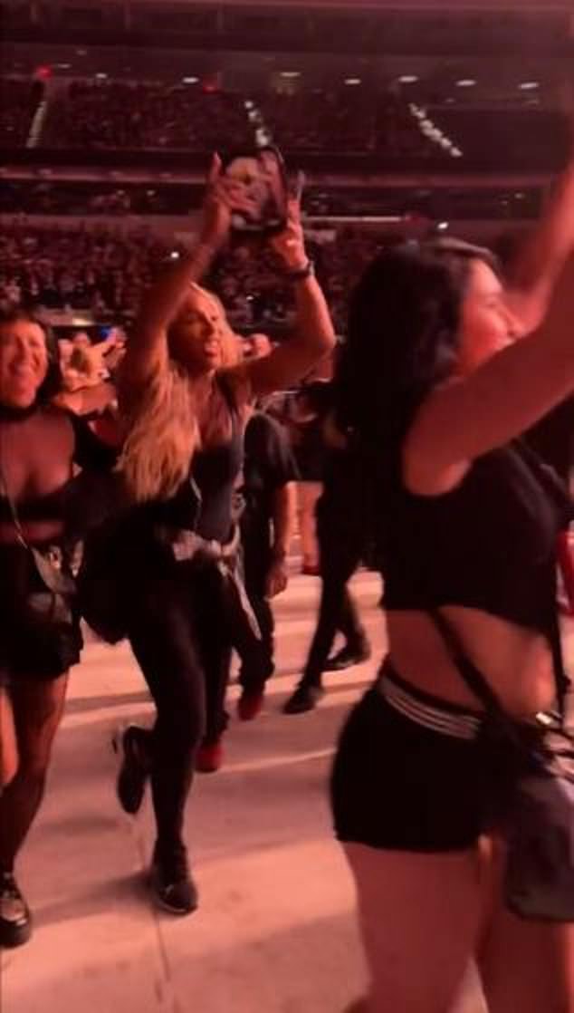 Serena Williams was spotted over the weekend in the pit at a concert for rock band Green Day