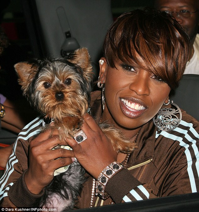 Animal lover: The 46-year-old rapper, (pictured with her old dog Poncho), regularly posts photos of her well-dressed Yorkie and his special ensembles