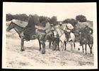 Fotografia Niemiecko-Południowo-Zachodnia Afryka / Namibia, Herero-Kapitan Tjetjo na koniu z  