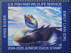 #JDS32 2024 Canard Junior - King Elder - MNH