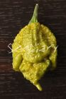 PEPPER X - UNOFFICIAL WORLD HOTTEST PEPPER, 3.180.000 SHU - 10 SELECTED SEEDS