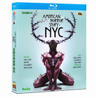 American Horror Story saison 11 New York City Blu-Ray série TV BD 2 disque neuf