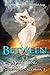 Between (Crossroads Saga, #2)