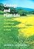 Geology and Plant Life: The Effects of Landforms and Rock Types on Plants