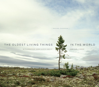 The Oldest Living Things in the World