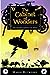 The Cabinet of Wonders (The Kronos Chronicles, #1)