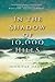 In The Shadow of 10,000 Hills by Jennifer Haupt