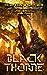 Blackthorne by Clayton W. Snyder