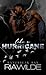 Like a Hurricane (Ravenpeak Bay #2)