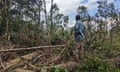 Aviles Morphy stands among felled trees in the forest