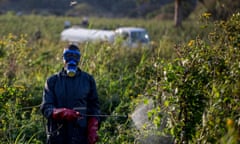 A soldier sprays desert locusts in Bilayolo village, in Kitgum district, Uganda.