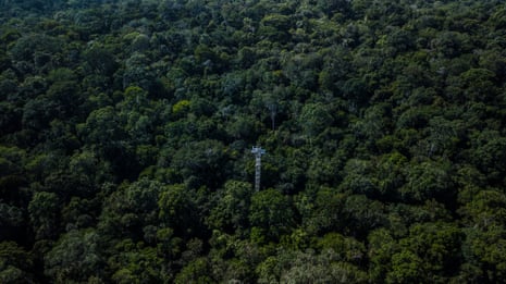 A view of the tower from a distance