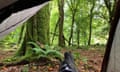 view from tent flap of woods, with boots in foreground