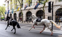 Two horses run down a London street, with a white one covered in blood