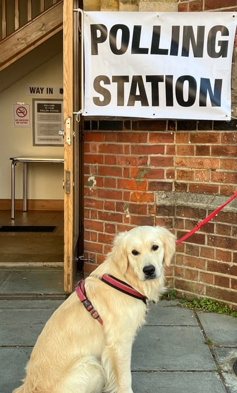 Crumble the dog at the polling station in Hove on Thursday.