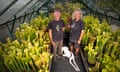 Peter and Helleentje stand with Billy, a large white lurcher, lying between them, in a low greenhouse full of funnel shaped carnivorous pitcher plants