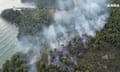 screengrab from news video showing smoke and flames rising above a densely forested area at the coastline with sea seen below the trees