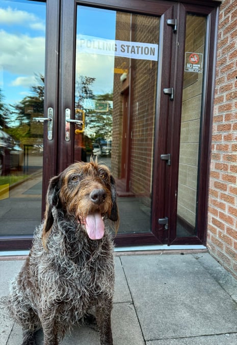 An unimpressed Zac at a polling station this Thursday.