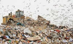 Gulls flying over landfill site.