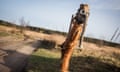 A memorial and a prophecy … A gas mask on a damaged tree on the road to Kreminna in Ukraine's Luhansk oblast.