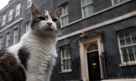 Larry, the Downing Street cat, sits on the street outside No. 10 ahead of the election in London, Britain, 3 July 2024. He is not eligible to vote.