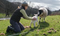 Andrea Meanwell puts a plastic mac on a lamb before the storm.